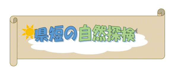 タイトル