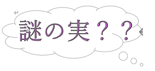 タイトル４